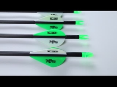 .204 σκοπευτικά βέλη.