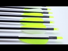 Πρότυπο μέγεθος 6.2mm κυνηγιού και στόχο βέλη Blast Pro σειρά