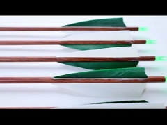 Τραπεζικό ξύλο κόκκοι βέλη